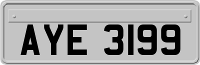 AYE3199