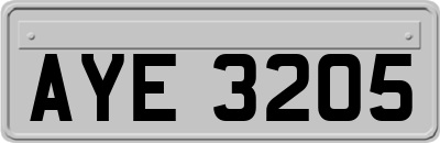 AYE3205
