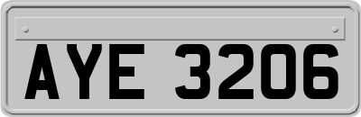 AYE3206