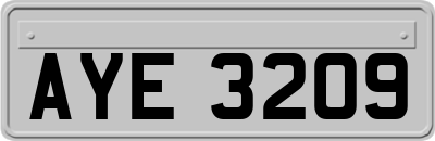 AYE3209
