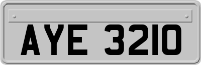 AYE3210