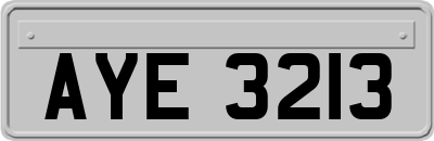 AYE3213