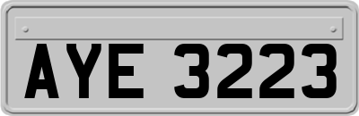 AYE3223