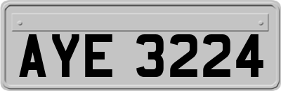 AYE3224
