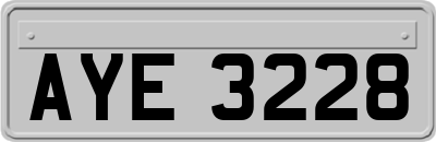 AYE3228