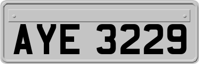 AYE3229