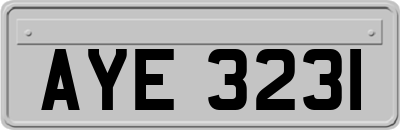 AYE3231
