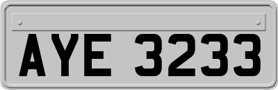 AYE3233