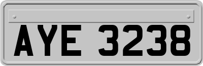 AYE3238