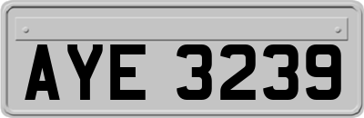 AYE3239