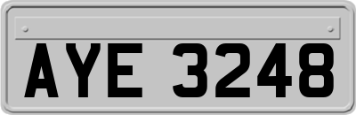 AYE3248