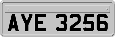 AYE3256