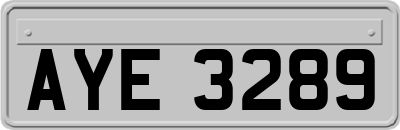AYE3289