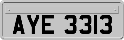 AYE3313