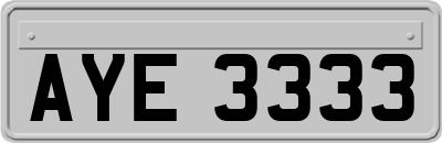 AYE3333