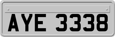 AYE3338