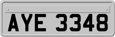 AYE3348