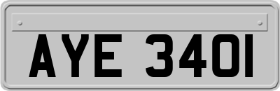 AYE3401