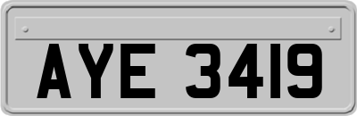 AYE3419