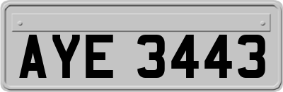 AYE3443