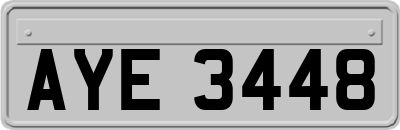 AYE3448