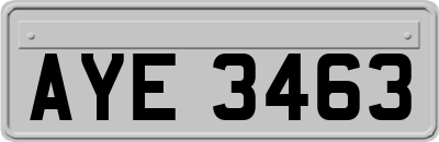 AYE3463