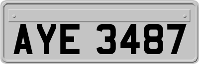 AYE3487