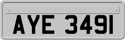 AYE3491