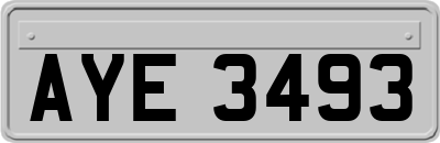 AYE3493