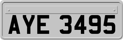 AYE3495