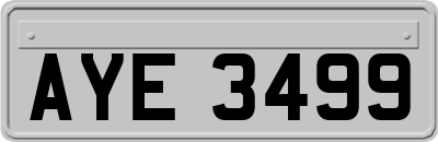 AYE3499