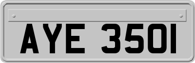 AYE3501