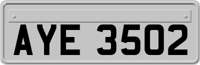 AYE3502