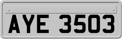 AYE3503