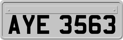 AYE3563