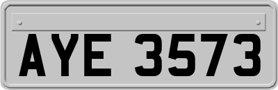 AYE3573