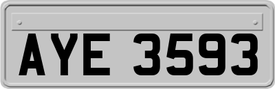 AYE3593