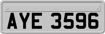 AYE3596