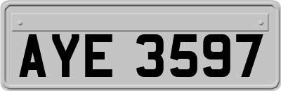 AYE3597