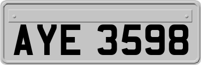 AYE3598
