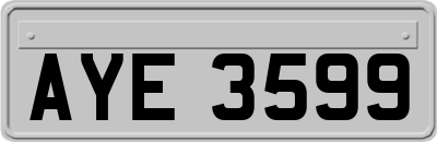 AYE3599