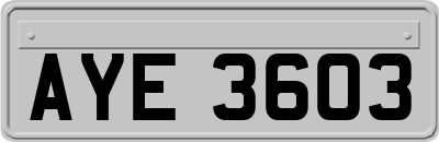 AYE3603