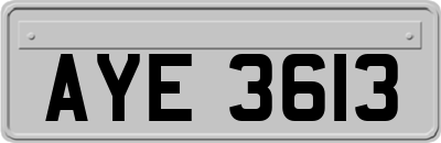 AYE3613
