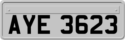 AYE3623