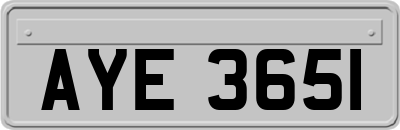 AYE3651