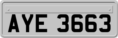 AYE3663