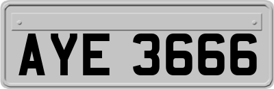 AYE3666
