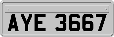 AYE3667