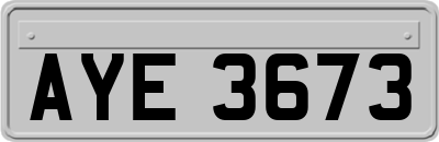 AYE3673