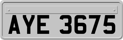 AYE3675